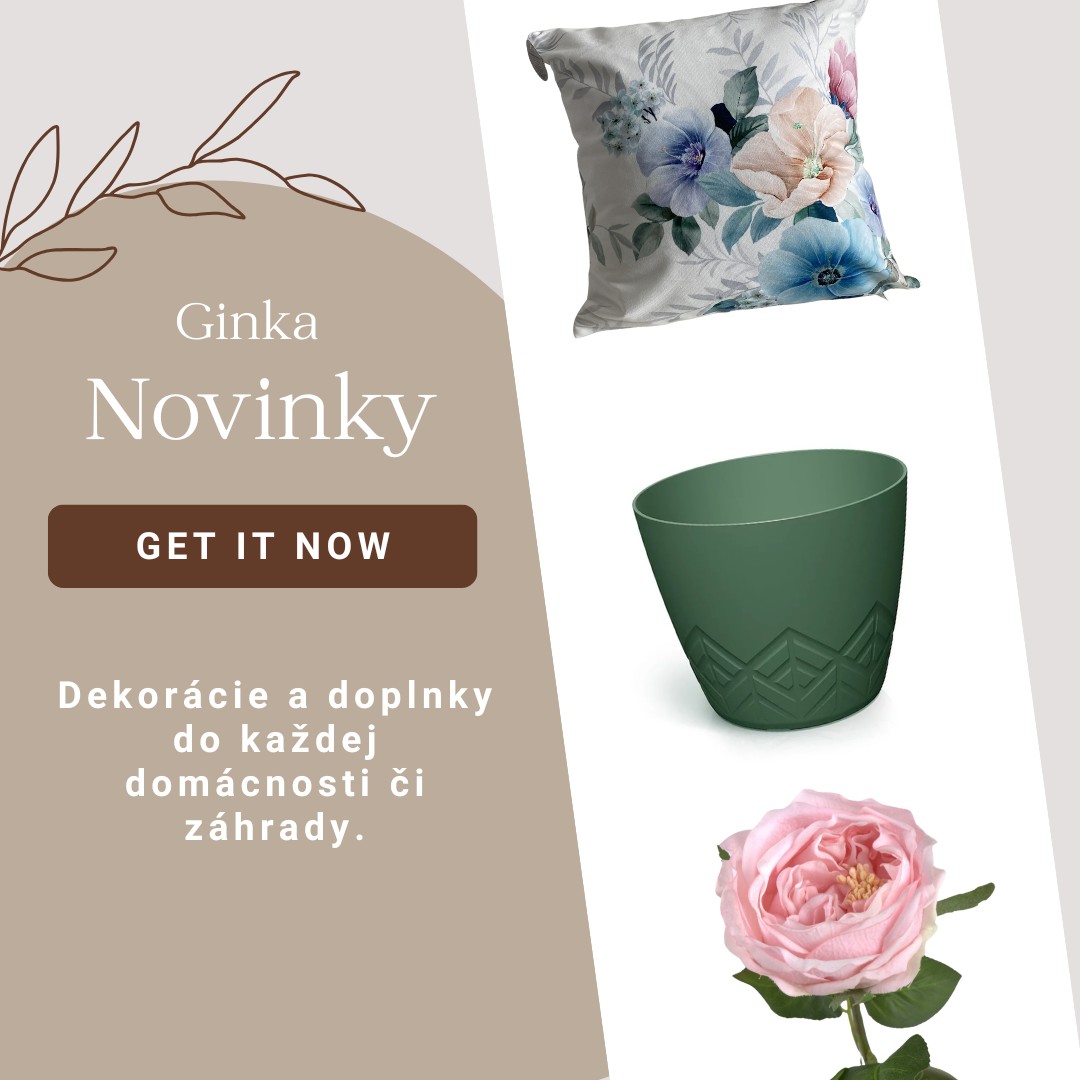 Novinky 